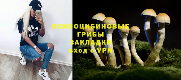 гашик Майский