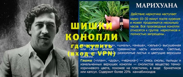 стаф Магас