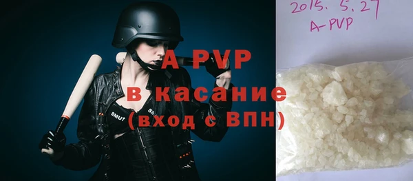 гашик Майский