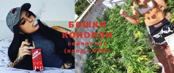 стаф Магас
