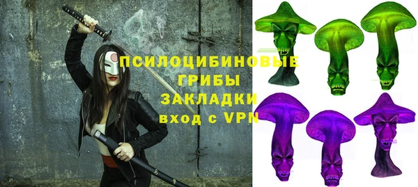 стаф Магас