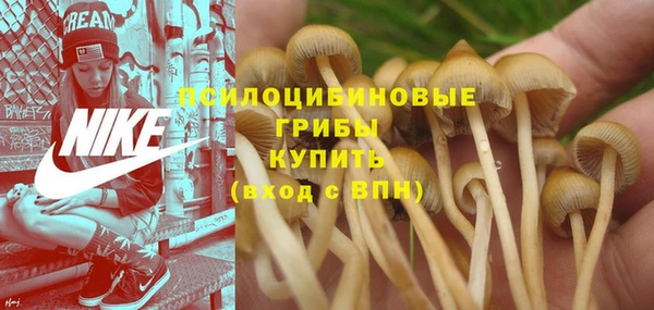 MESCALINE Магадан