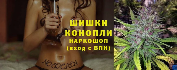гашик Майский