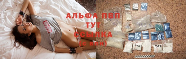 стаф Магас