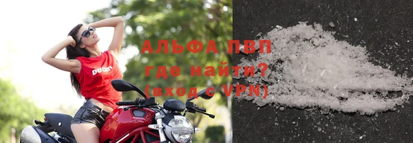 стаф Магас